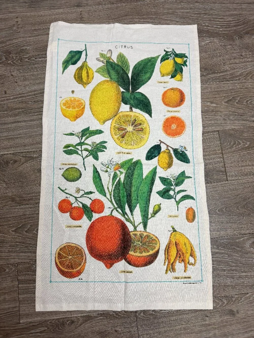 NEW Cavallini Papers & Co., Inc 100% Natural Cotton 
